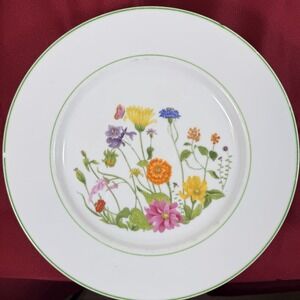 denby SET-OF-4 10" WONDERLAND Dinner PLATES multicolor garden flowers 1974 RARE